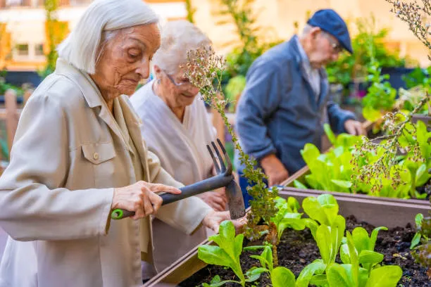 Residents gardening